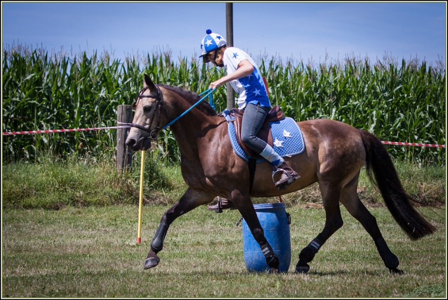 Mounted Games 194
